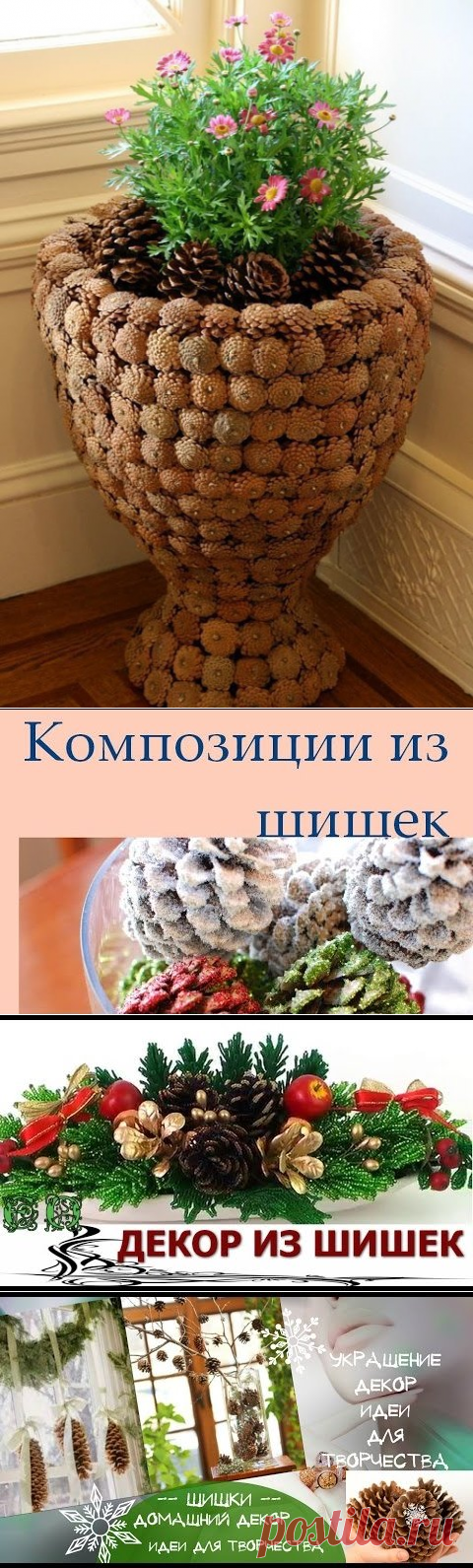 (60) Одноклассники