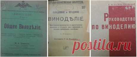 Домашнее виноделие