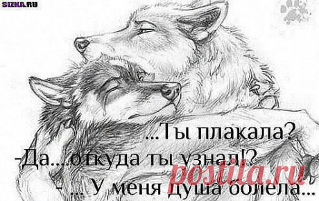 если бы у них была душа,женщины бы улыбались и цвели