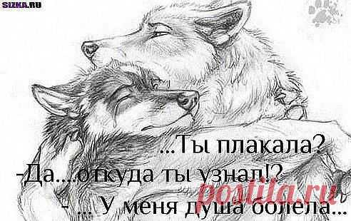 если бы у них была душа,женщины бы улыбались и цвели