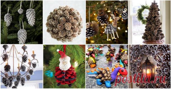 Что можно сделать из шишек: декор интерьера и поделки из еловых и сосновых шишек своими руками | Дары природы | DecorWind.ru