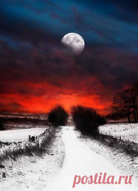 Գիշերը ամբողջ հիվանդ, խելագար
Ես երազեցի արևի մասին:
Շուրջս ոչ մի ձայն ու շշուկ չկար.
Գունատ էր շուրջս` գիշեր ու լուսին:

Ես երազեցի արևի ոսկին,
Տենչացի նրա հրաշքը խնդուն`
Ուզեցի սիրել շշուկն իմաստուն`
Արևանման, արնավառ խոսքի,-

Բայց շուրջս այնպես գունատ էր, տկար.
Խոսքեր չկային ու արև չկար...

(Չարենց)