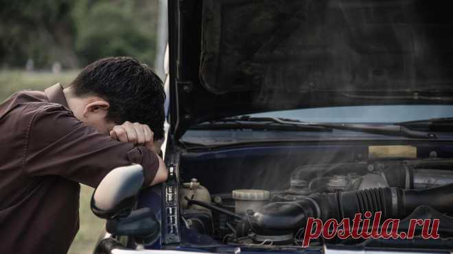 КАК ЗАЩИТИТЬСЯ ОТ ХРОНИЧЕСКОГО ПЕРЕУТОМЛЕНИЯ ВОДИТЕЛЮ ДАЛЬНОБОЙЩИКУ? 

Нервная система нуждается не только в источнике энергии, но и в расходных материалах, которыми являются нейромедиаторы. Рассмотрим, из чего они образуются в организме.