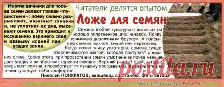 Правильное ложе для семян