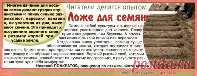 Правильное ложе для семян