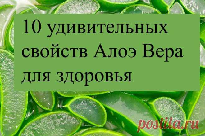 10 свойств Алоэ Вера для здоровья
Алоэ Вера — удивительное растение. Этот суккулент на протяжении тысячи лет является одним из самых часто используемых фитотерапевтических средств в мире. Скользкий, прозрачный гель, содержащийся в листьях алоэ, обладает антиоксидантными, противовоспалительными, антимикробными и целебными свойствами. Наносите ли вы его свежим на кожу, пьёте сок или принимаете в...
Читай пост далее на сайте. Жми ⏫ссылку выше