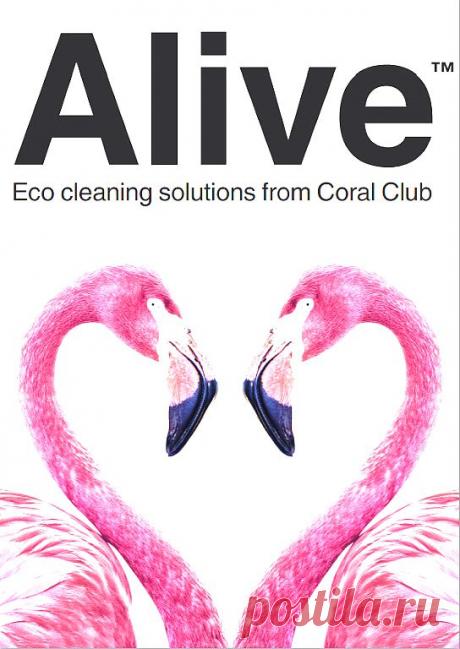 (85) Одноклассники