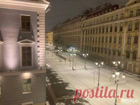 Снег в Петербурге ночью в феврале, фото - 14 февраля 2025 - ФОНТАНКА.ру
