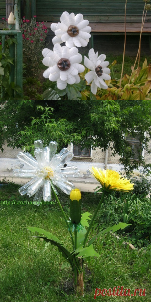 (55) Одноклассники