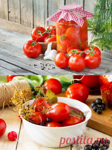 Солнце в банке: 10 рецептов засолки помидоров на любой вкус