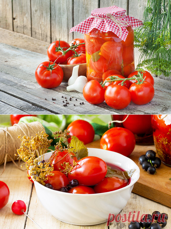 Солнце в банке: 10 рецептов засолки помидоров на любой вкус