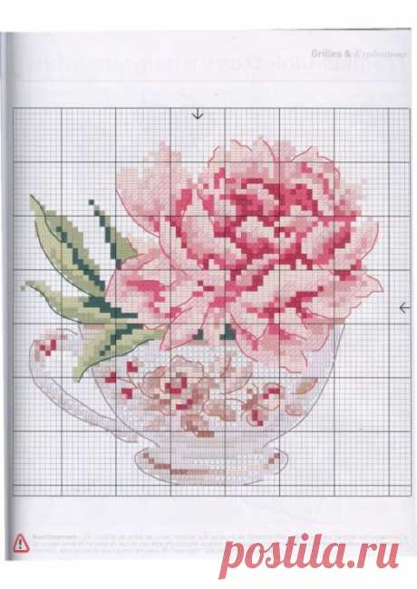 (1) Pinterest