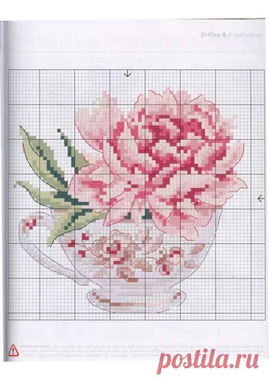 (1) Pinterest
