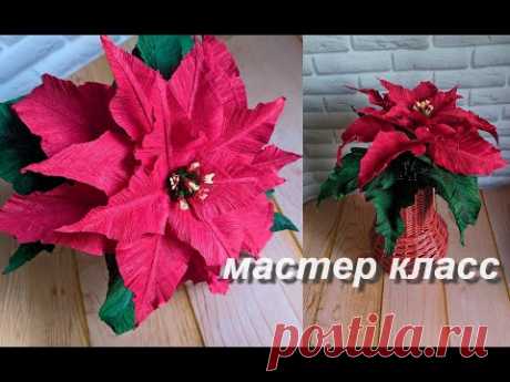 Пуансеттия из крепированной (гофра) бумаги. Как сделать бумажный цветок - YouTube