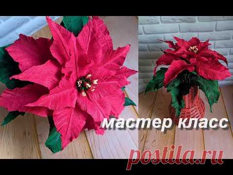 Пуансеттия из крепированной (гофра) бумаги. Как сделать бумажный цветок - YouTube