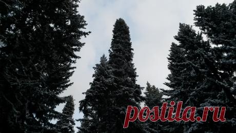 голубое небо...