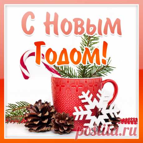 Новогодняя открытка кружка с шишками для поздравления с новым годом. Оригинальную картинку лучшего качества вы можете скачать на сайте Инстапик бесплатно.