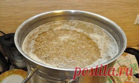 Как сделать самогон из ржаной и пшеничной муки в домашних условиях? Рецепты мучной браги | Про самогон и другие напитки | Яндекс Дзен