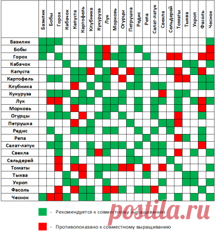 Таблица правильного соседства овощных культур - Садоводка