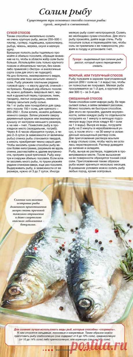 3 основных способа соления рыбы
салаты без майонеза