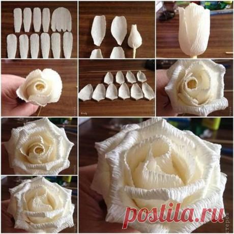 DIY Tutorial DIY Paper Crafts / How to DIY Easy Rose from Crepe Paper - Bead&amp;Cord