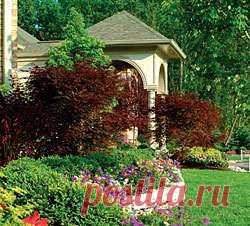 Товары для ландшафтного дизайна: что вам понадобится