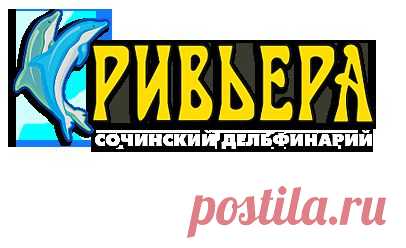 Дельфинарий Сочи в Парке Ривьера