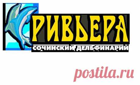 Дельфинарий Сочи в Парке Ривьера