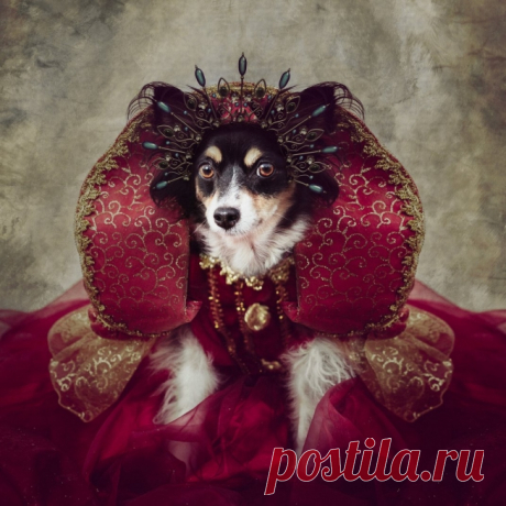 Финалисты престижного фотоконкурса Smithsonian