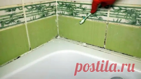 Как навсегда удалить плесень, грибок и почистить швы между плиткой - Квартира, дом, дача - Социальная сеть &quot;МТ.RU&quot;