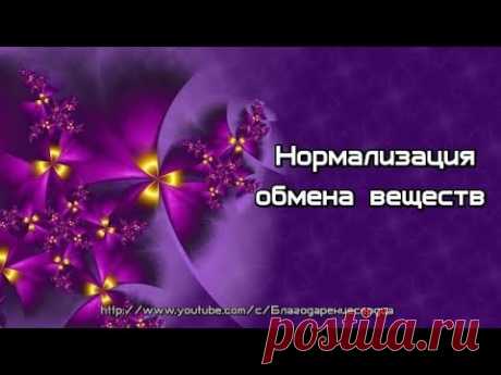 Нормализация обмена веществ