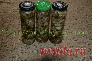 Грибы опята маринованные | Урожайная дача
