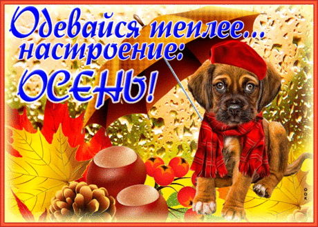 Отличная открытка Одевайся теплее. Настроение: Осень! - Скачать бесплатно на otkritkiok.ru