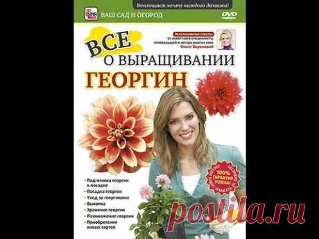 ВСЕ О ВЫРАЩИВАНИИ ГЕОРГИН. Общие принципы и пошаговое руководство. ВАШ САД И ОГОРОД,