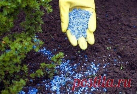 Правильная дозировка удобрений