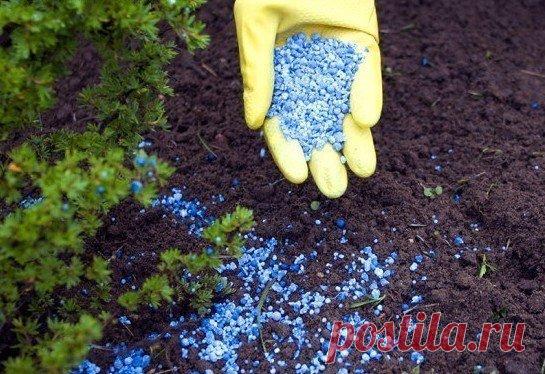 Правильная дозировка удобрений