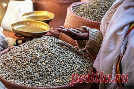 Эфиопия запретила туристам вывозить кофе. Власти Эфиопии ввели временный запрет для авиапассажиров на вывоз кофе из страны. Продукт нельзя вывозить в любом виде и в любых количествах. В посольстве посоветовали туристами учитывать эту информацию при планировании поездок во избежание возникновения неприятных ситуаций.