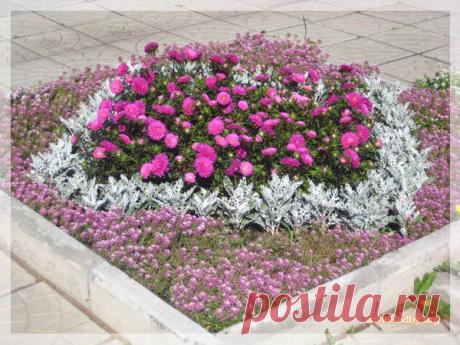 Выпуск №31 - Украшаем дачу - Ландшафтный дизайн своими руками - идеи для дизайна сада