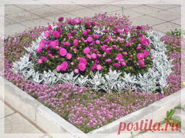 Выпуск №31 - Украшаем дачу - Ландшафтный дизайн своими руками - идеи для дизайна сада