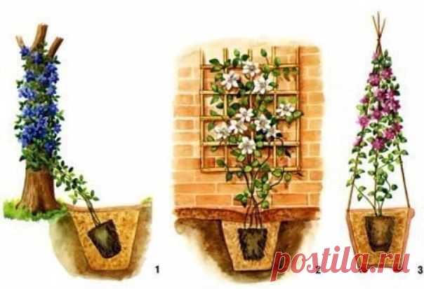 Школа цветоводства 🌸 Наш дом всегда в цветах 🌸