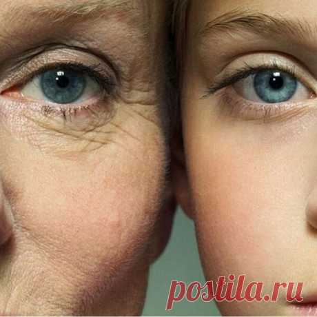 Нобелевский лауреат рассказала о пяти способах не стареть. | Полезные советы | Яндекс Дзен