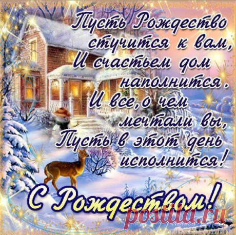 (12) Одноклассники