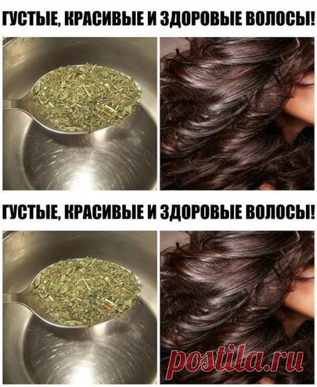 1 непрочитанный чат