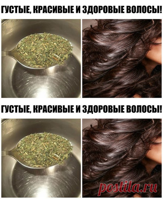 1 непрочитанный чат