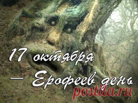 Пусть счастье вас сопровождает,
Успех не покидает вас.
Желаем сил, добра без края,
И радости в сиянье глаз. Открытки на Ерофеев день.