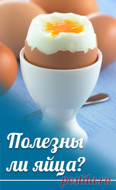Яйца - польза и вред. Повышают ли яйца холестерин. Почему яйца считаются очень полезным продуктом. Правда ли, что яйца повышают холестерин
здоровое питание, сбалансированное питание, рациональное питание, спортивное питание, как правильно питаться, лечебное питание, здоровая пища