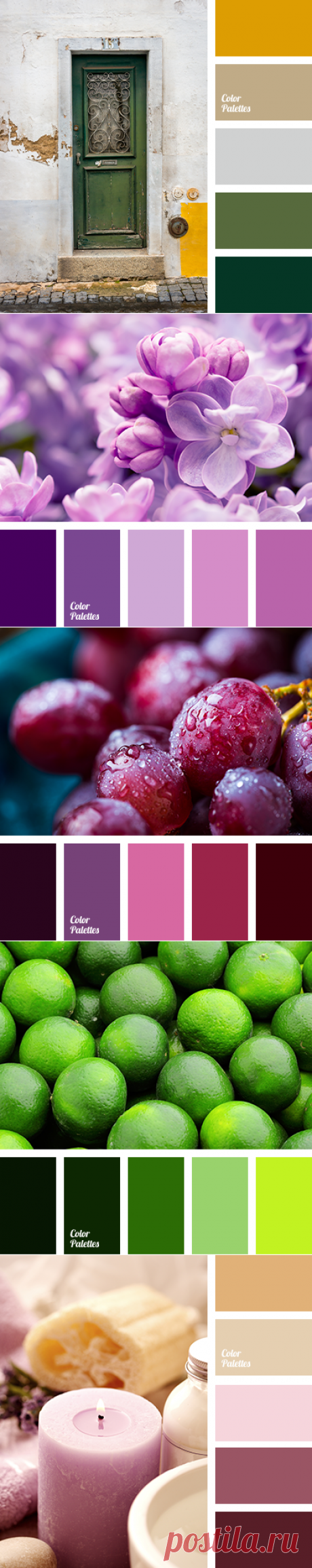 Идеи Цвета Палитра | ColorPalettes.net