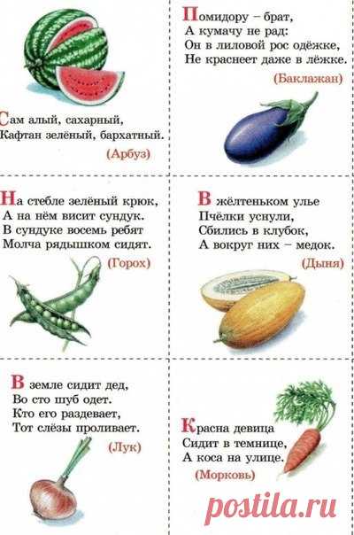 ЗАГАДКИ ОБ ОВОЩАХ, ФРУКТАХ, ЯГОДАХ
#ЛОГИЧЕСКОЕ_МЫШЛЕНИЕ@kidsandwe

Даже дети знают, что фрукты не только вкусные, но и полезные. Тоже самое можно сказать и о загадках о фруктах. На вкус их, правда, не попробуешь, но польза от их разгадывания тоже немалая.

Загадки – лучший способ научить ребенка думать! 

*** 
Круглое, румяное с дерева достану я, 
На тарелку положу, «Кушай, мамочка»,- скажу. 
- яблоко - 

*** 
Золотист один бочок, 
Красноват другой бочок. 
Посередине, в се...