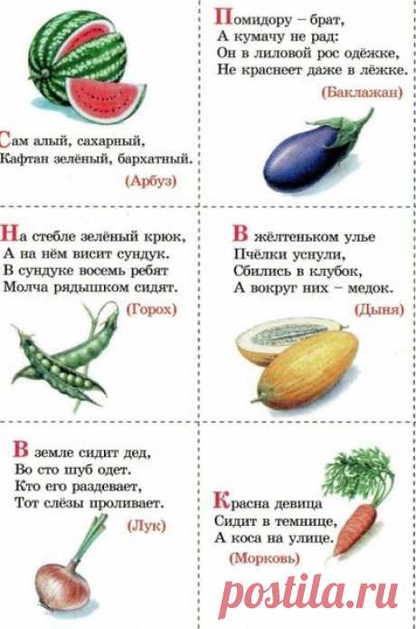 ЗАГАДКИ ОБ ОВОЩАХ, ФРУКТАХ, ЯГОДАХ
#ЛОГИЧЕСКОЕ_МЫШЛЕНИЕ@kidsandwe

Даже дети знают, что фрукты не только вкусные, но и полезные. Тоже самое можно сказать и о загадках о фруктах. На вкус их, правда, не попробуешь, но польза от их разгадывания тоже немалая.

Загадки – лучший способ научить ребенка думать! 

*** 
Круглое, румяное с дерева достану я, 
На тарелку положу, «Кушай, мамочка»,- скажу. 
- яблоко - 

*** 
Золотист один бочок, 
Красноват другой бочок. 
Посередине, в се...