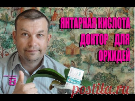 ЯНТАРНАЯ КИСЛОТА - ЗЕЛЕНЫЙ ДОКТОР ДЛЯ ОРХИДЕЙ. Орхидеи в домашних условиях. #Орхидеи